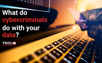 What do cybercriminals do with stolen data?