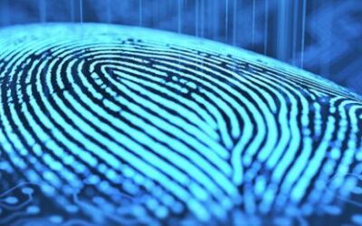 Smartphone browsers now support biometrics